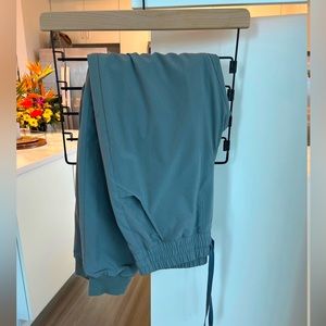 FIGS Fionlite Dark Sage ST joggers